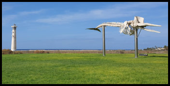 Walskelett am Strand Jandia - bei Leutturm