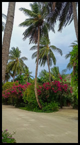 Insel - Verbindungswege