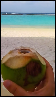 Kokosnuss von zuvorkommenden Angestellten