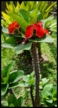 Side - Sonnenuntergang