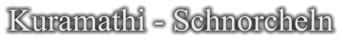 Kuramathi - Schnorcheln