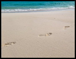 Spuren im Sand...