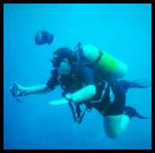 Tauchen Isi - ca. 35 Meter