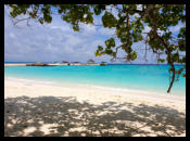 Mein Higlight - Das Kuchen Buffet 