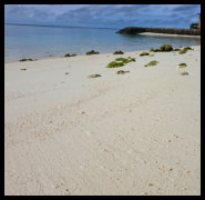 Strand - Blick von unserer Unterkunft