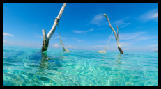 Hängematte: Nicht bequem - Aber ein Hingucker...