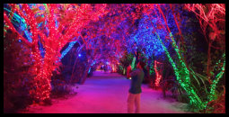 ...Wem es gefällt...