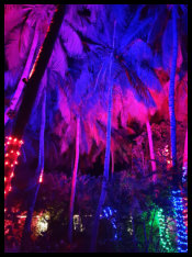 22.12. - Geschmückt für Weinnachten. Wem es gefällt....