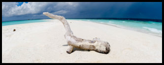 Sandbank - Dinner völlig allein....
