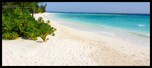 Summer Island - Perfekter Strand