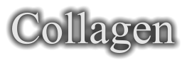 Collagen